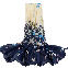 Navy1